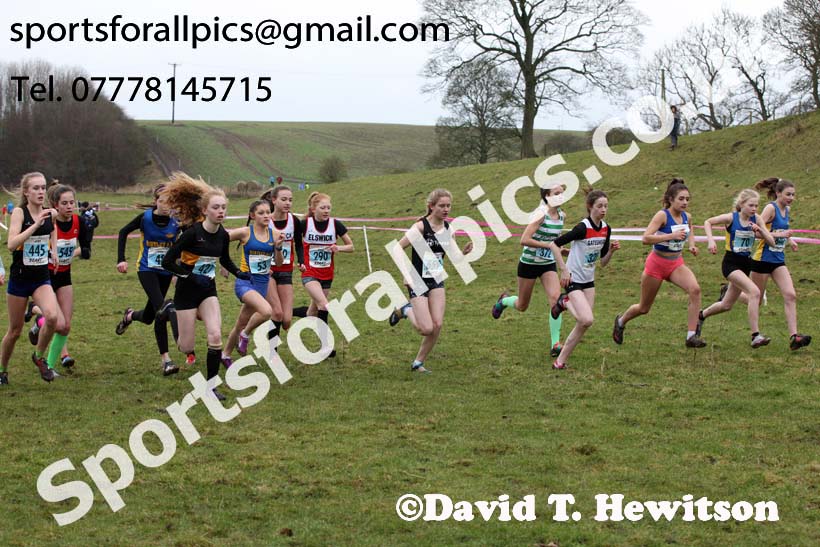Girls under-15s, Start Fitness NEHL, Thornley Hill Farm, Peterlee, County Durham. Photo: David T. Hewitson/Sports for All Pics